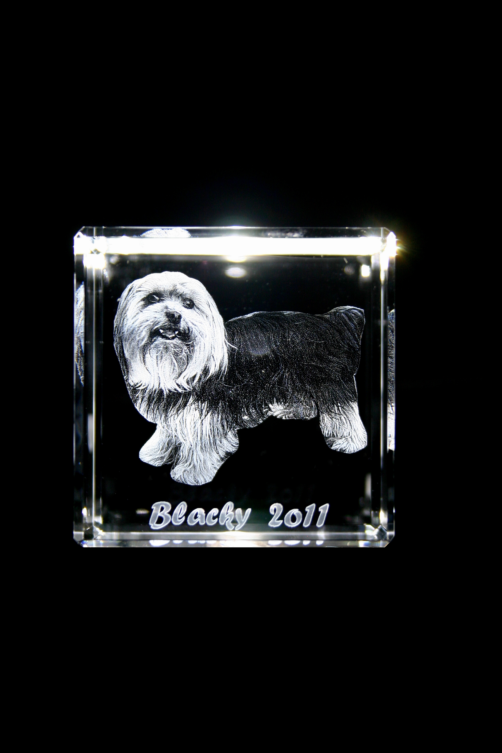 CC80 Geschenkidee Glaswürfel Foto 2D in 3D Laser Foto Weihnachten Taufe Hund 